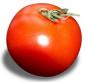 Profile picture for user Red Tomato