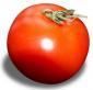 Profile picture for user Red Tomato